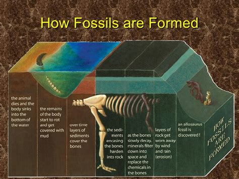 when were fossil fuels discovered